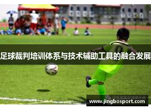 足球裁判培训体系与技术辅助工具的融合发展
